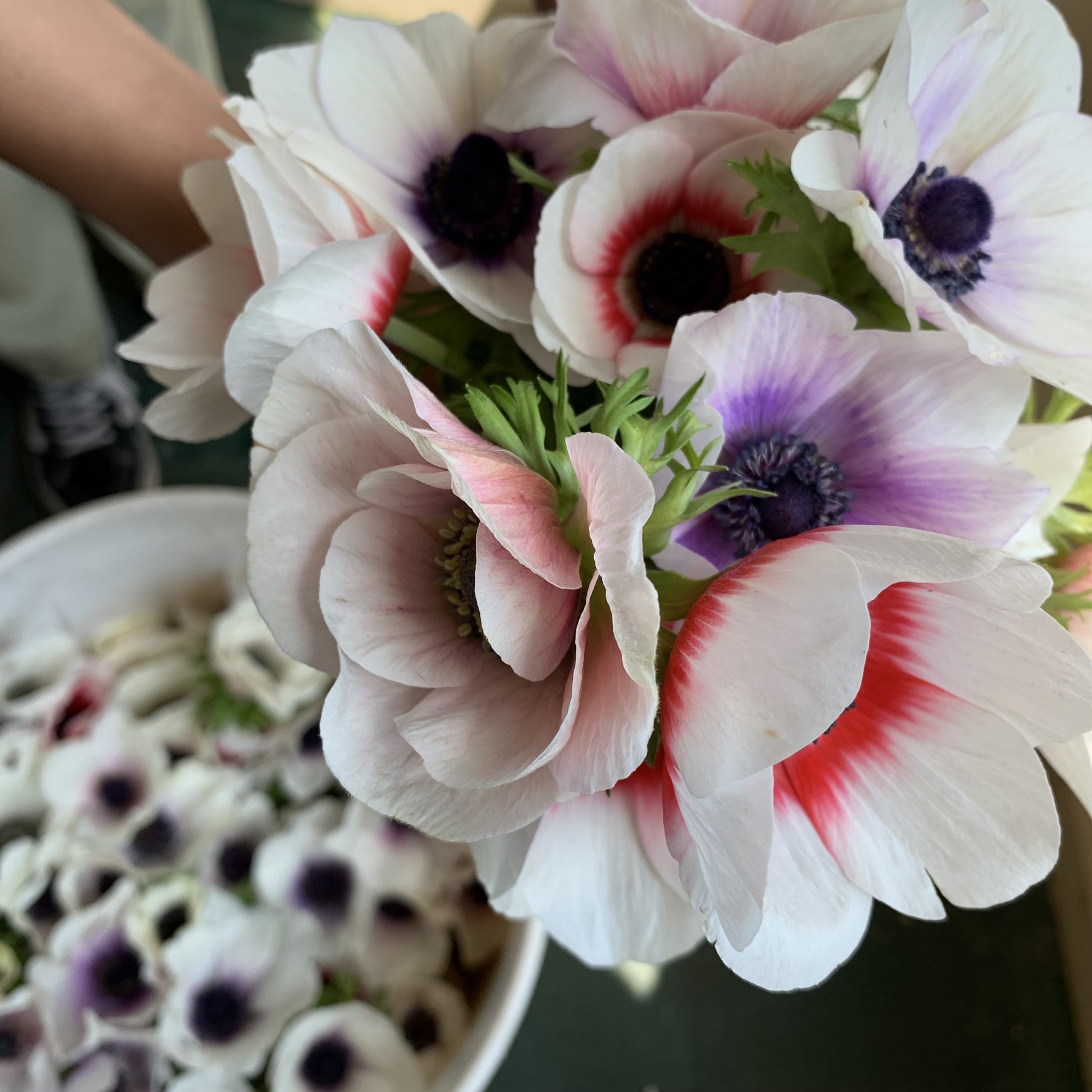 Floral Subscription — Waiakoa Wildflowers