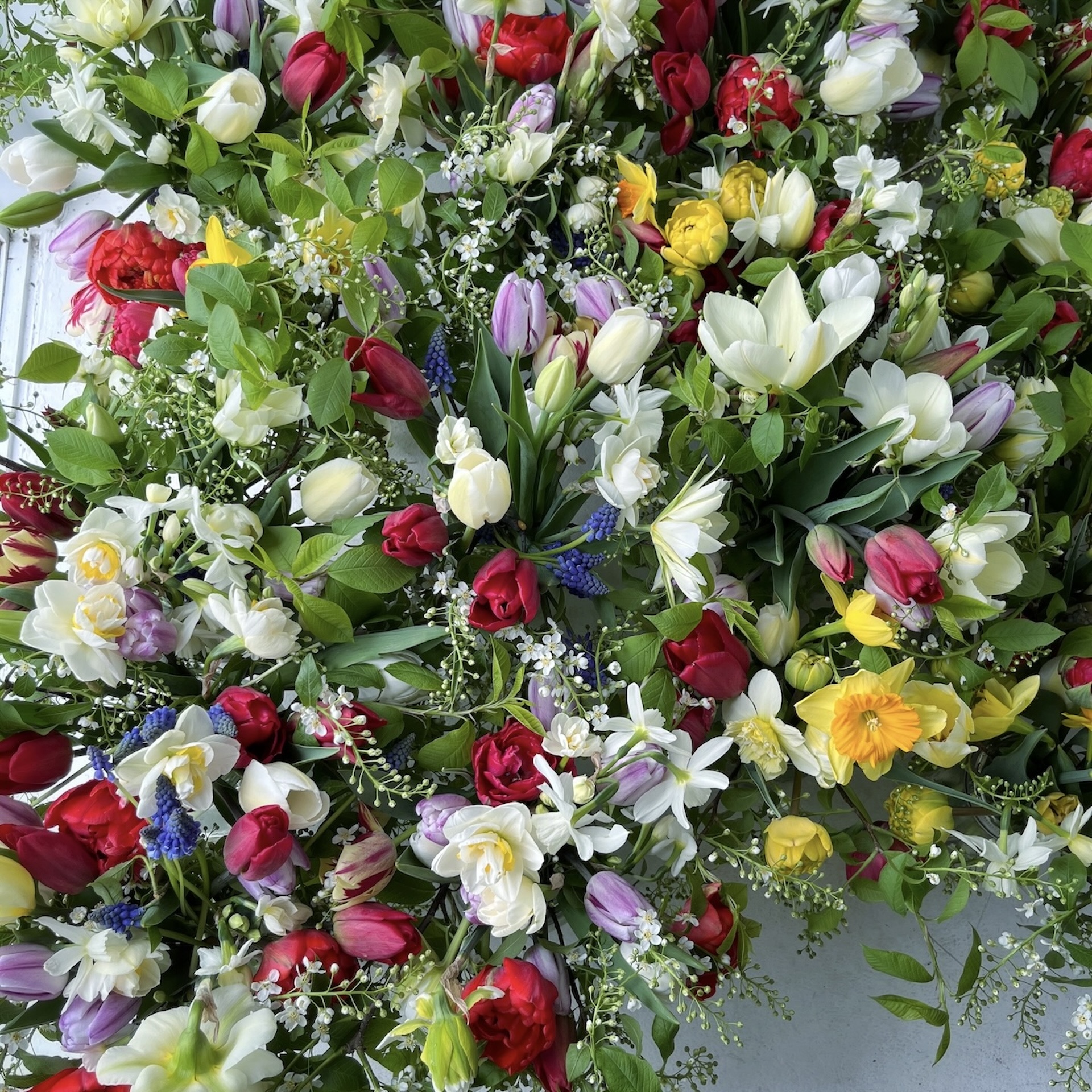 Early Spring Flower Subscription 2026 - Image 3