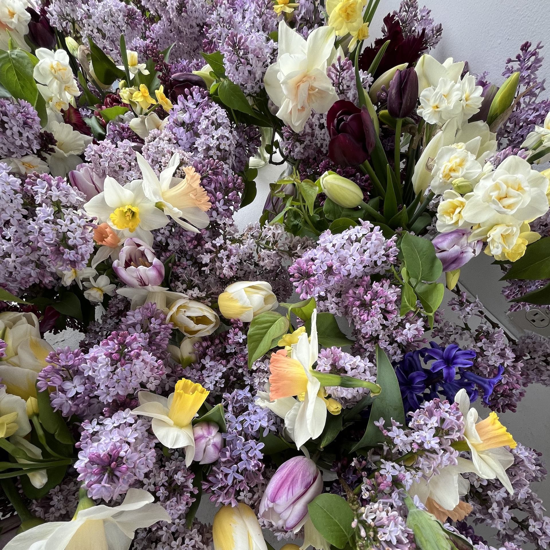 Early Spring Flower Subscription 2026 - Image 4