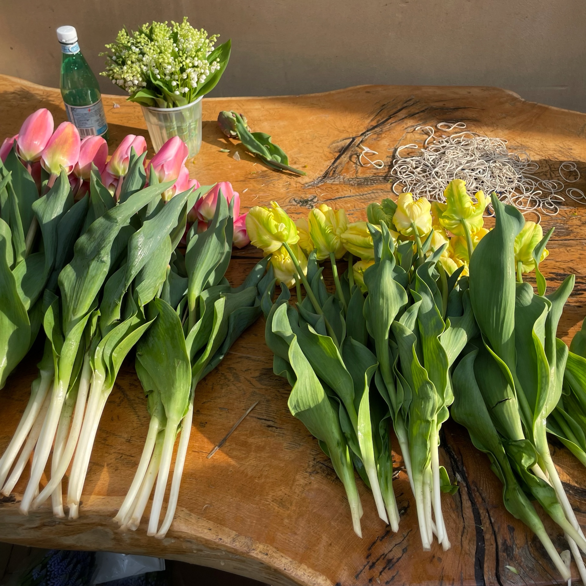 Early Spring Flower Subscription 2026 - Image 6